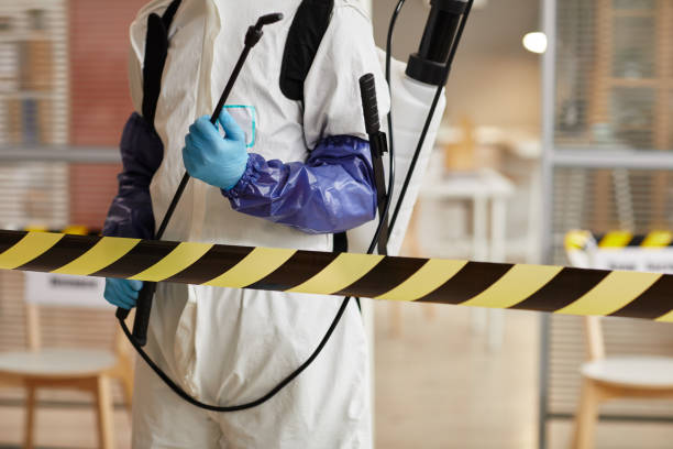 Professional Sewage Cleanup technician working in Derry, NH